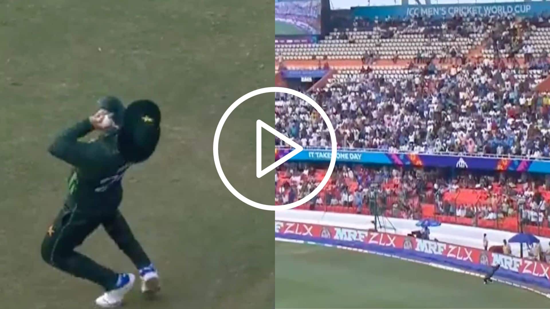 [Watch] Imam-ul-Haq Catches A 'Skier' As Kusal Mendis’ Brisk Century Ends